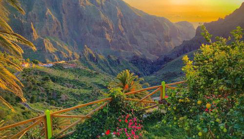 Sweet Home Masca - Foto 2