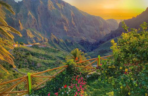 Sweet Home Masca - Foto 2