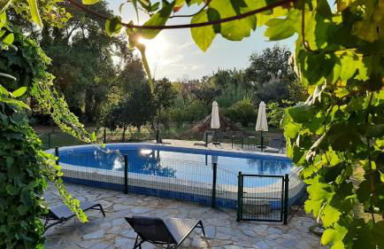 Monte Horta da Velhinha - Foto 2