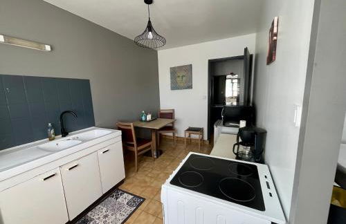 Appartement LOGIS DU CHATEAU DES MARAIS - pour 2 à 3 PERSONNES - Foto 40