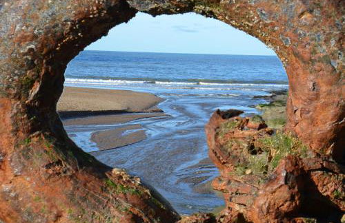 Golwgfor (Sea View) by Aberporth Beach Holidays - Foto 30