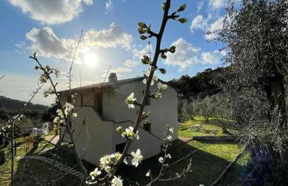 Agriturismo Il Sorbo Appartamento Lavanda - Foto 11