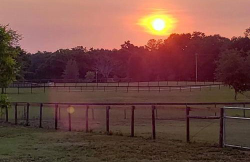 Little Ridge Ranch-East House Quiet Country Getaway-Pet Friendly! - Foto 39