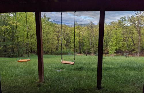 Shenandoah Thunder Chalet Guest Suite - Foto 78