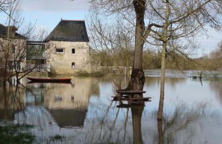 Appt dans maison d'architecte, Spa, Piscine & jardin - Foto 30
