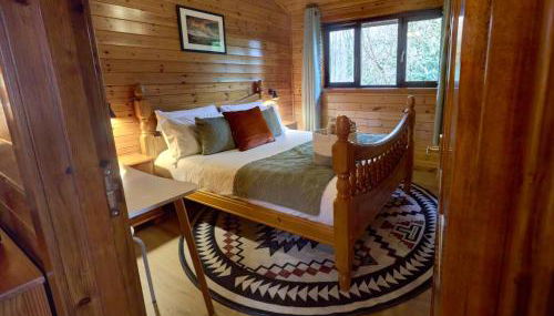 Luxury Wood Lodge with sauna, log burner & private woodland garden - Wnion Wood Lodge - Foto 1