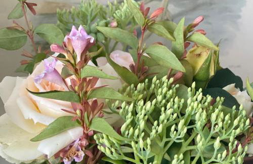 Green House in campagna - Foto 35