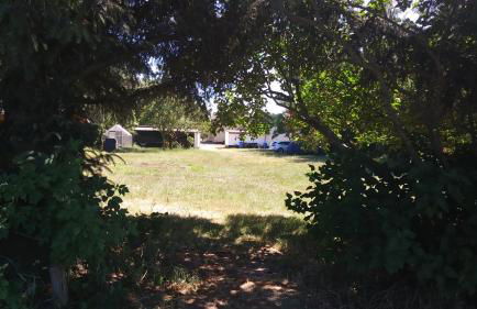 Ferienhäuschen - Foto 28