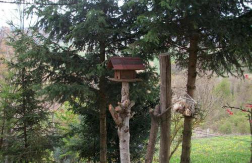 Kuća sa apartmanima Šemnica - za odmor i proslave! - Photo 16