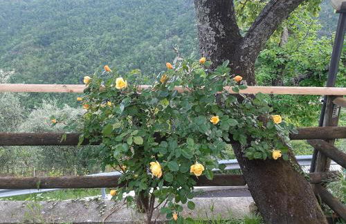 La casa di Amelia - Foto 8