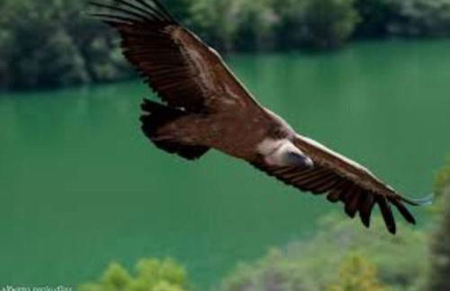 Casa Rural Hoces del Duratón El Villar - Foto 25