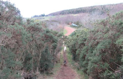 Kestrel, Longhouse Cottages - Foto 30
