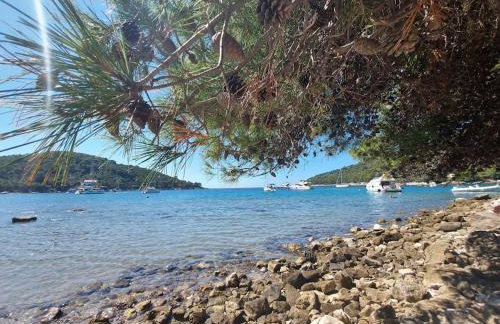 Apartment Kristić - Saplunara, Mljet - Photo 28