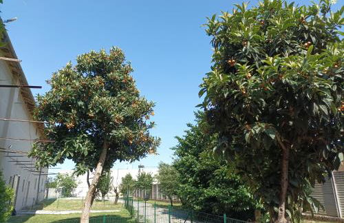 Appartamento in Cascina Cortazza - Foto 33