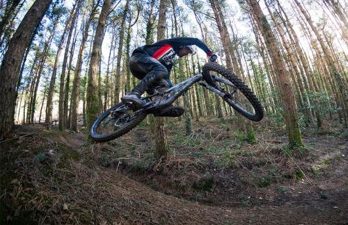 Bee Hive Merthyr Tydfil - Photo 6