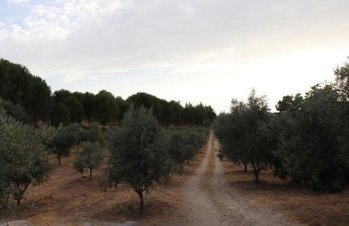 Quinta da Poipa - Foto 43