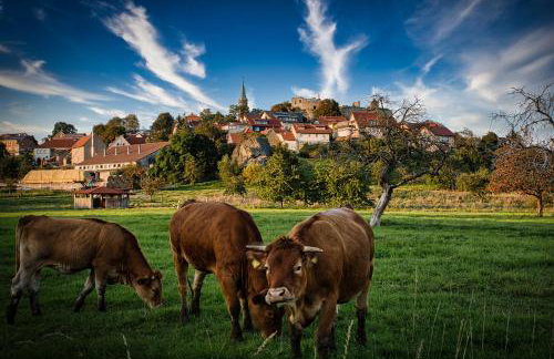 Ferienwohnung Altenstein - Photo 26