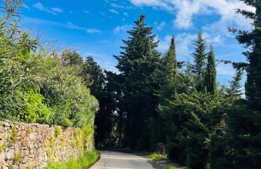 Très jolie maison aux portes du Cap Corse - Foto 22