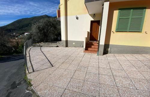 CACTUS House - Foto 8