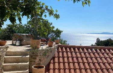 Family friendly house with a swimming pool Cove Zarace, Hvar - 23502 - Photo 15