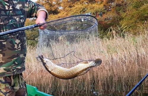 Ferienhaus Marianna am See - free Sauna, Ruderboot, Kajak & WLAN - Photo 41