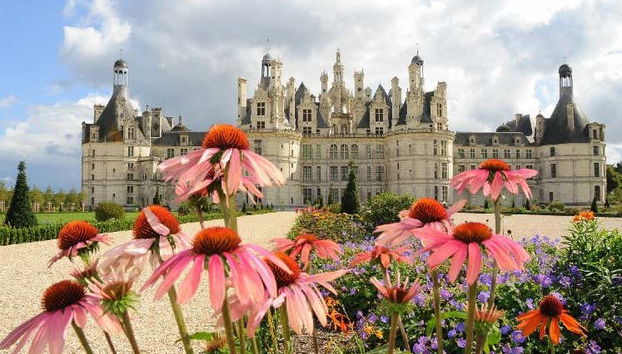 Château de Chenonceau + Chambord Excursion - Photo 4