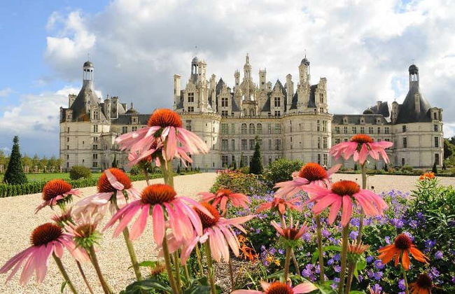 Château de Chenonceau + Chambord Excursion - Photo 4
