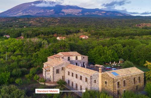 Bosco Ciancio - Foto 139