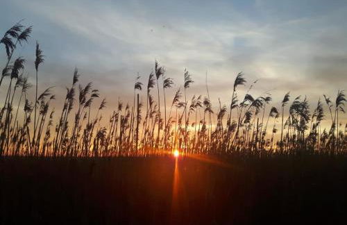 Das Atelier - Foto 39