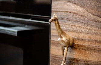 ô Safari appart 8p prôche de Boulogne-sur-mer - Foto 63