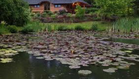 Dzikie południe - Foto 5