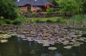 Dzikie południe - Foto 5