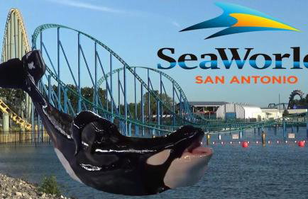 Cozy getaway by SeaWorld - Lackland AFB BMT - Foto 48