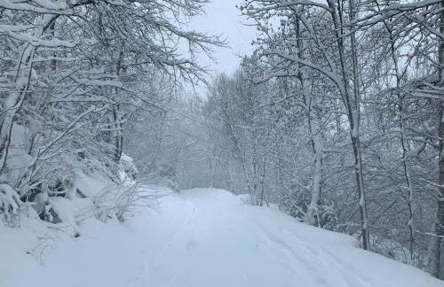 El Estacho de Panticosa - Photo 40