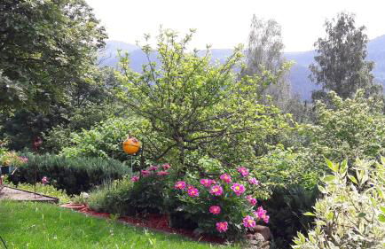 Fewo-Harlachberg-Blick-1 - Foto 10