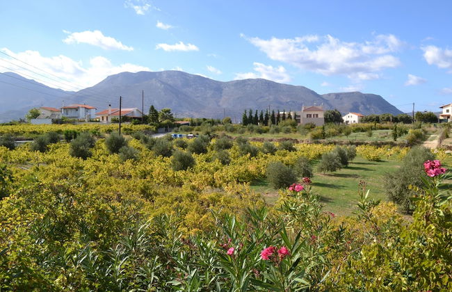 Christina Villas - Foto 49