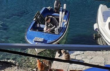 Apartment Nikki - Foto 16