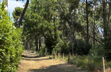 Il nido di Spina - Foto 12