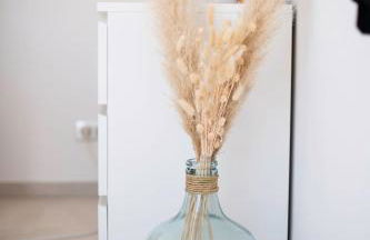 MAISON LAVANDE du MAS LOU CAPY - Foto 42