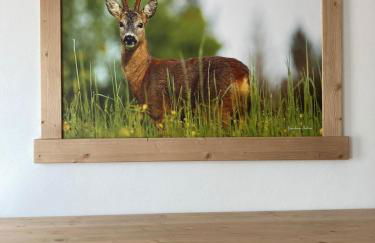 Sole & Relax - Foto 11