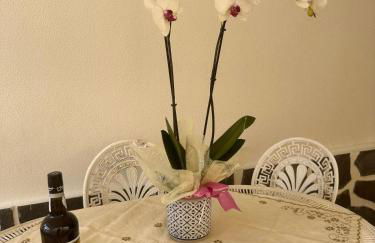 spot do vale - Foto 27