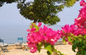 Nama Beach House - Photo 34