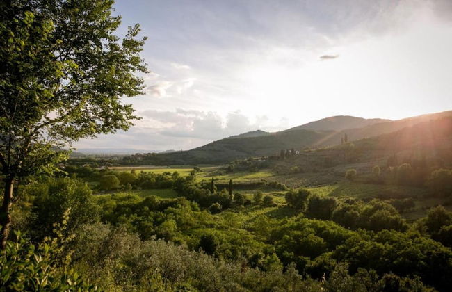 Farmhouse in Tuscany With Panoramic Pool - Photo 38
