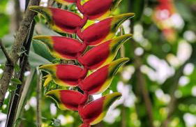 Casa da Rose - Foto 18