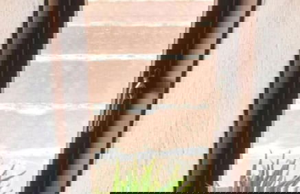 Townhouse Wexford - Private Garden - Foto 30