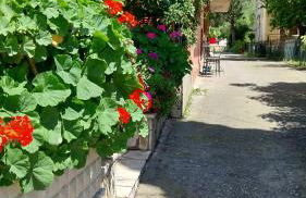 Vilma's House - Photo 36