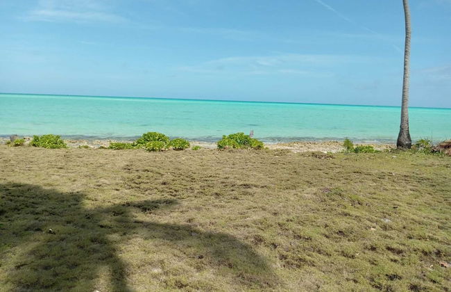 Alvira's Place - Foto 42