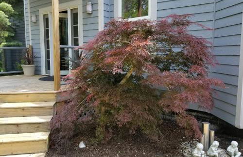 This is the One! Private! Exclusive! Pet Friendly! - Foto 42