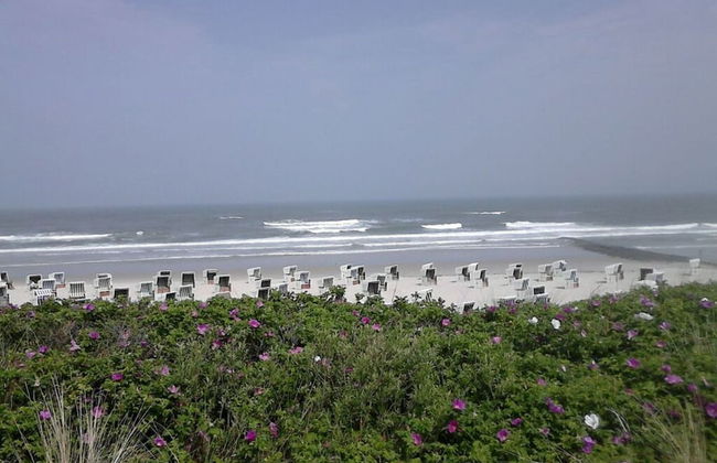 Lagoon on the Wadden See on Wangerooge - Foto 18