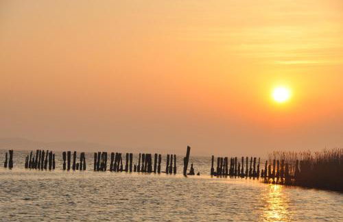 Fischerhus37 FeWo Kranichwiese - Foto 16